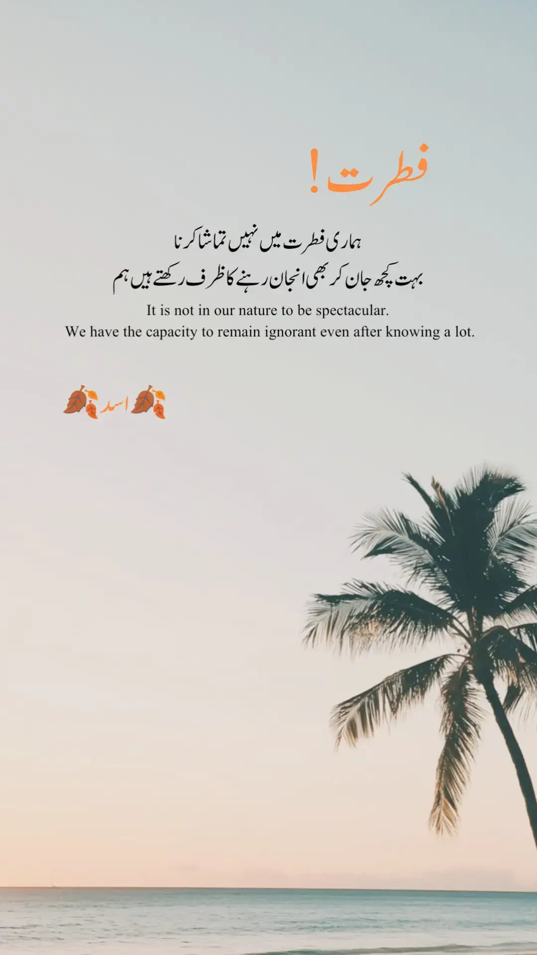 #poetry, #spokenword, #emotionalpoetry, #relatablecontent, #poetsontiktok 
