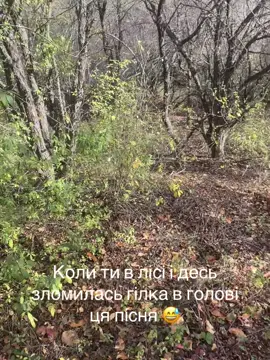 #ліс #гриби #пригоди #omg 