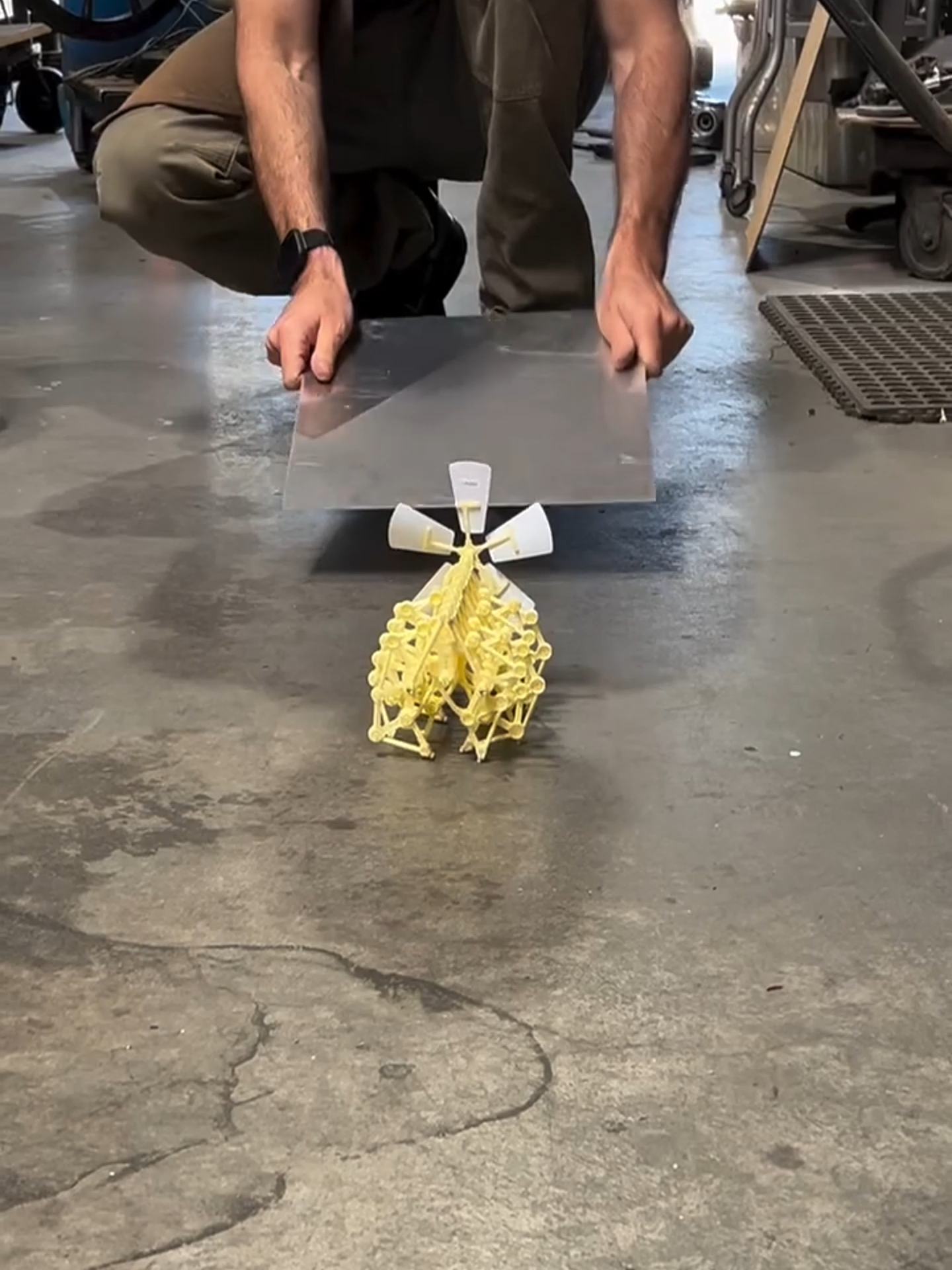 Máquinas vivientes creadas por el hombre