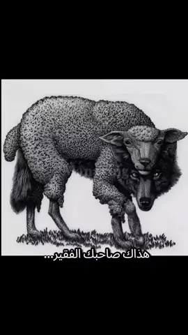 هذاك صاحبك الفقير 🎭#مالي #خلك #احط #هاشتاقات #الشعب_الصيني_ماله_حل😂😂 