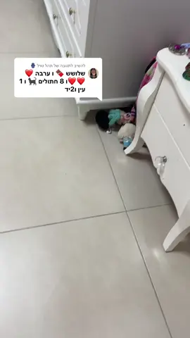 משיב/ה ל-@תהל טויל 🪬 