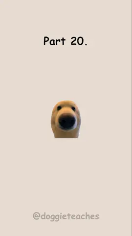 Doggie Explains Unethical Ways to Make Money — Part 20 (Satire) #fyp #dog #LearnOnTikTok #doggieteaches 