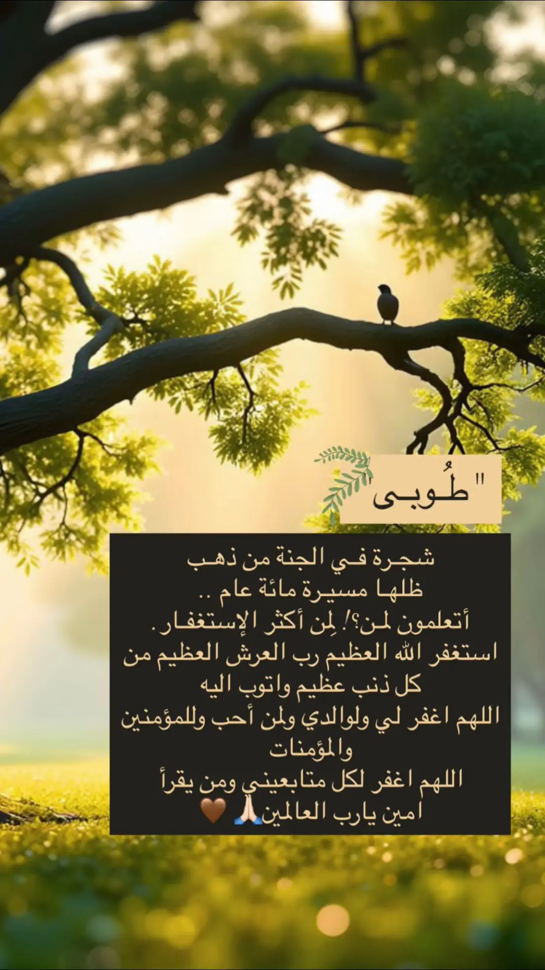 #explor #اكسبلور #fyp #الرياض #موسم_الرياض 