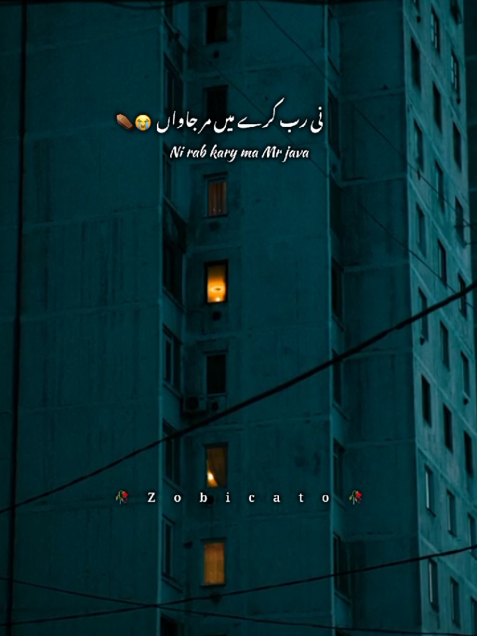 سونیے جے تیرے نال دغا میں کماواں #fyp #foryoupage #trandingsong #viralvideo #growmyacount 