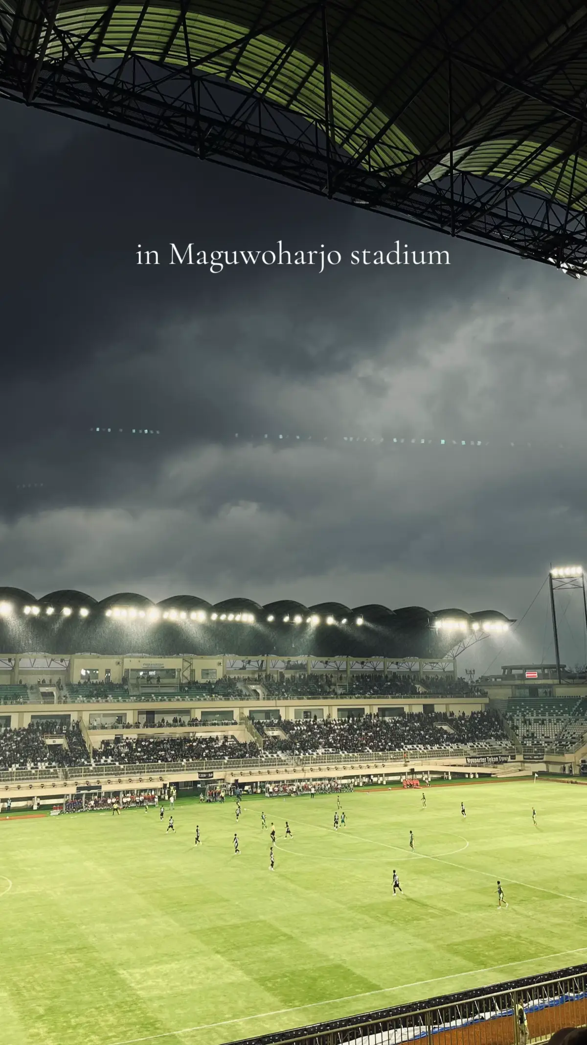 Super Elja fly so high#psssleman 