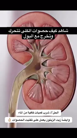 #اكسبلور  #اخصائي_تغذية  #الصحه 