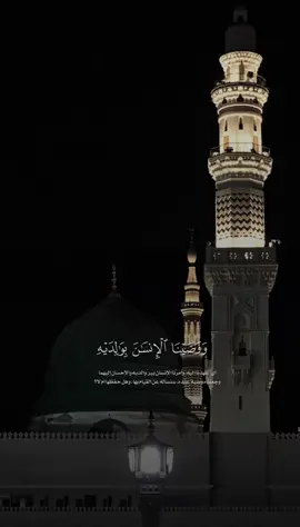 ووصينا الإنسان بوالديه🤍 #أحمد_بن_طالب ‬ #قران #تلاوات #قران_كريم #QURAN #explore #fyp #foryou #viral #fypシ 