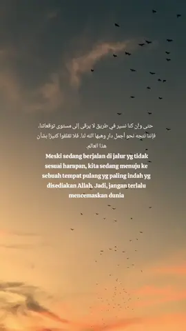 #syairarab #arabicsong 