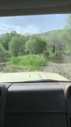 #creatorsearchinsights #قاچاخچی #شارباژێر #موسەک #شاڕباژێڕ_موسەک_شابەدین 