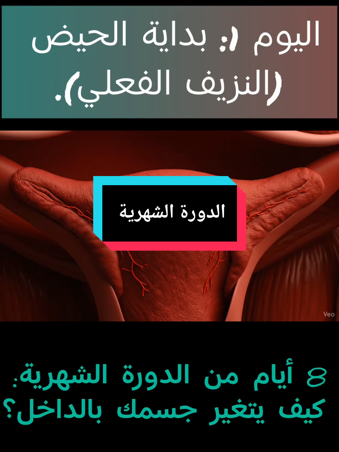 8 أيام من الدورة الشهرية: كيف يتغير جسمك بالداخل#ابوني #لايكات #النساء #explor #momgirl 