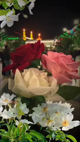 #متباركين_يا_شيعة_؏ـلي🦋💕 #ولادة_حبيبة_قلب_اخيها _الحسين #زينب_الكبرى #❤️‍ 