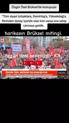 #özgürözelsesimizdir 🫶🏻❤️🇹🇷🇹🇷🇹🇷🇹🇷🇹🇷🇹🇷🇹🇷#brükselmitingi🇹🇷🇹🇷🇹🇷🇹🇷 #siyahbeyaz #iyiakşamlar✋ #yaşasıncumhuriyethalkpartisi🇹🇷🇹🇷 CHP 🇹🇷🇹🇷🇹🇷🇹🇷