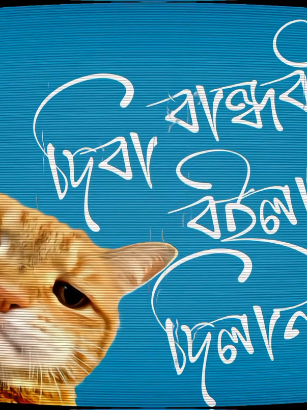 মনে থাকবে রে?😌#LyricsLines1 #fyp #foryou #foryoupage #trending 
