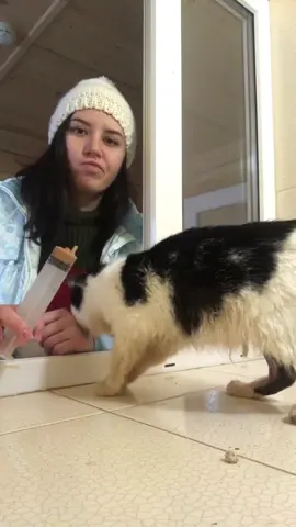 We have received only $15 From 2 friends 😭💔 we don't know how we are going to save PLUTO without your help 😭 you are my only hope dear friends, please anyone seeing this post, please don't scroll without donating let's save Pluto 😭 any donation possible will be helpful,