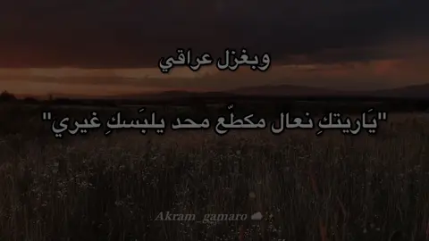 وبغزل عراقي #عبارات_جميلة #اقتباسات #fypyoupage #حب #غزل 