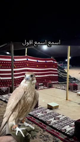 #أكسبلور_شعر_حكم_خواطر 