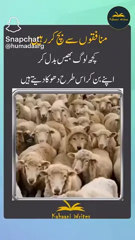 for you ❣️#foryoupage❤️❤️ 