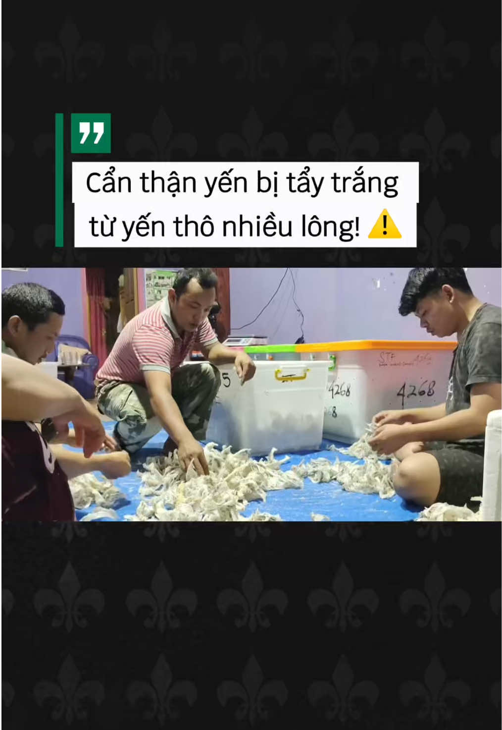 Cẩn thận mua trúng yến bị tẩy trắng từ yến thô nhiều lông! ⚠️ #YenSaoVietNam #TuHaoHangViet #HangVietVuonMinh #AkaNest #ToYen 