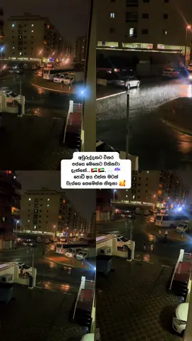 ඔයාලා ඉන්න පැතිවලටත් වැස්සද? 🇦🇪🌧️🌨️🌧️🌨️🌧️🌨️🌧️🌨️🌧️🌨️අවුරුද්දකටත් වැඩීයී වැස්සක් දැකලා 🇦🇪🇦🇪🇦🇪🇦🇪☔️🌧️#rainingday🌧#dubai🇦🇪#beautiful#fyppppppppppppppppppppppp 