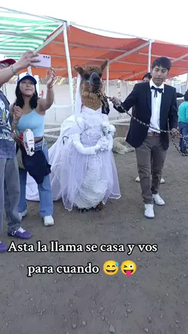 #videosgraciosos😆 #🙃 #3iatlas #mineriaperu🇵🇪 