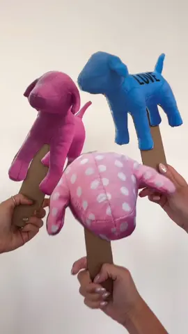 Sorry for stealing your thunder, Dylan, but we couldn’t resist.   #VSPINK #VSFS #VSFashionShow 