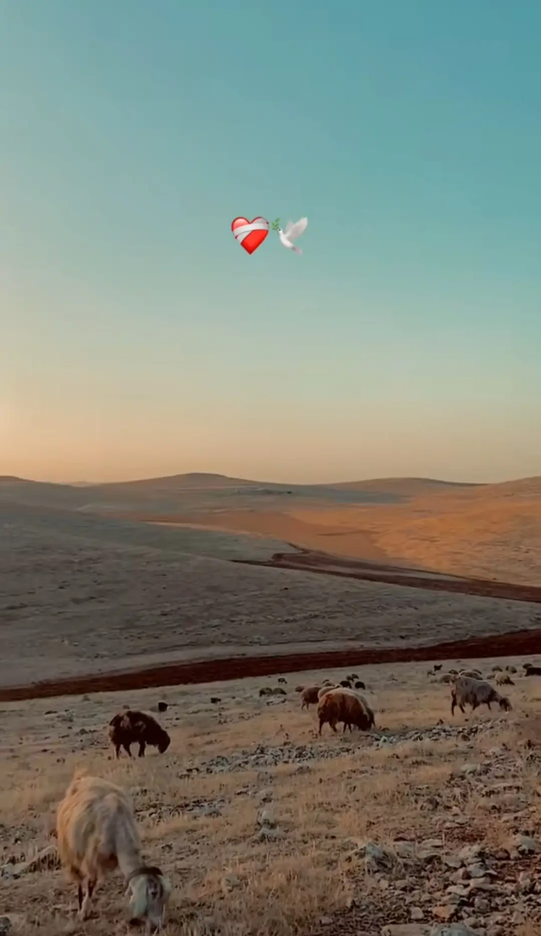 #storiylikvideolar📌 