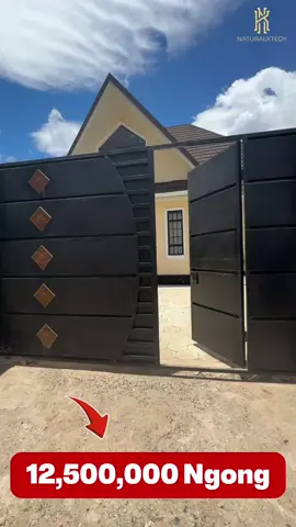 Ngong kibiko 12,500,000 beautiful house #foryou #mansiontour #luxury #fyppppppppppppppppppppppp #ngong 