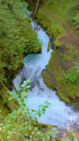 Flying over the treetops to reveal a small but beautiful waterfall cascading through the lush forest. The way the light catches the mist and moss feels like a gentle reminder of God’s artistry in nature—every detail perfectly placed, peaceful, and full of life 😌