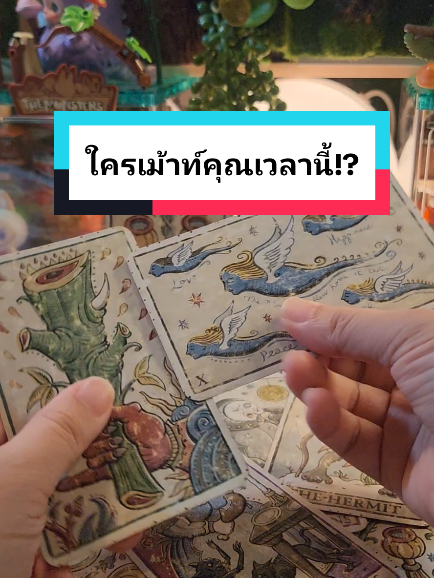 #โสด #สายมู #ดูดวง #ความรัก #แม่หมอปลั๊กกี้ 