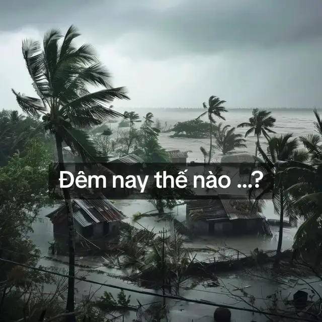 Thơ bão lũ #nhactamtrang #viral #Thơ #nhactrungquoc #xuhuong 