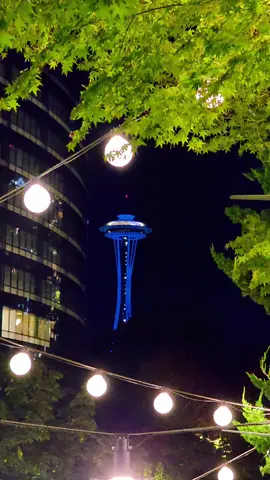 welcome to Seattle  #spaceneedle #seattle #seattlewashington #seattletiktok #washington 