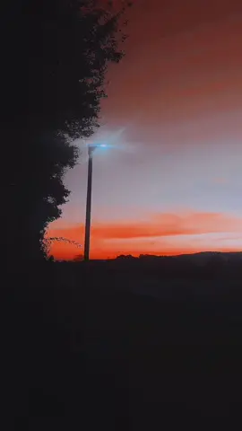 Guten Abend ❤️#blues #traveltiktok #naturevideos #nature #free 