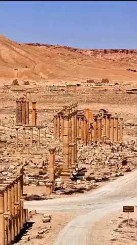 #palmyra #syria 