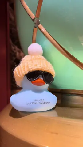 Duck hunting on our cruise was one of my favorite things 😂 🦆  #cruisetok #cruise #duckhunting #cruiseducks #cruiseship @Rob Frizzle 