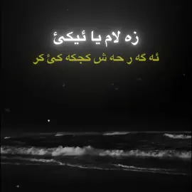 zalam🔥🔥🔥 #شعب_الصيني_ماله_حل😂😂 #duhok_zaxo_amedi_semel_akre #foryou #folowersss 