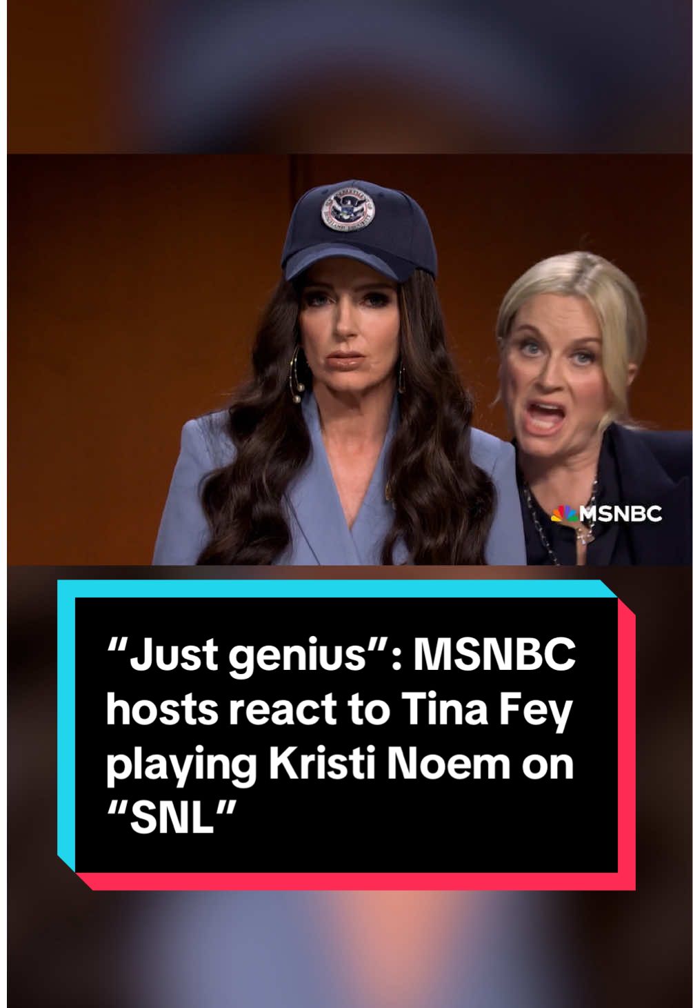 Tina Fey made an appearance on 