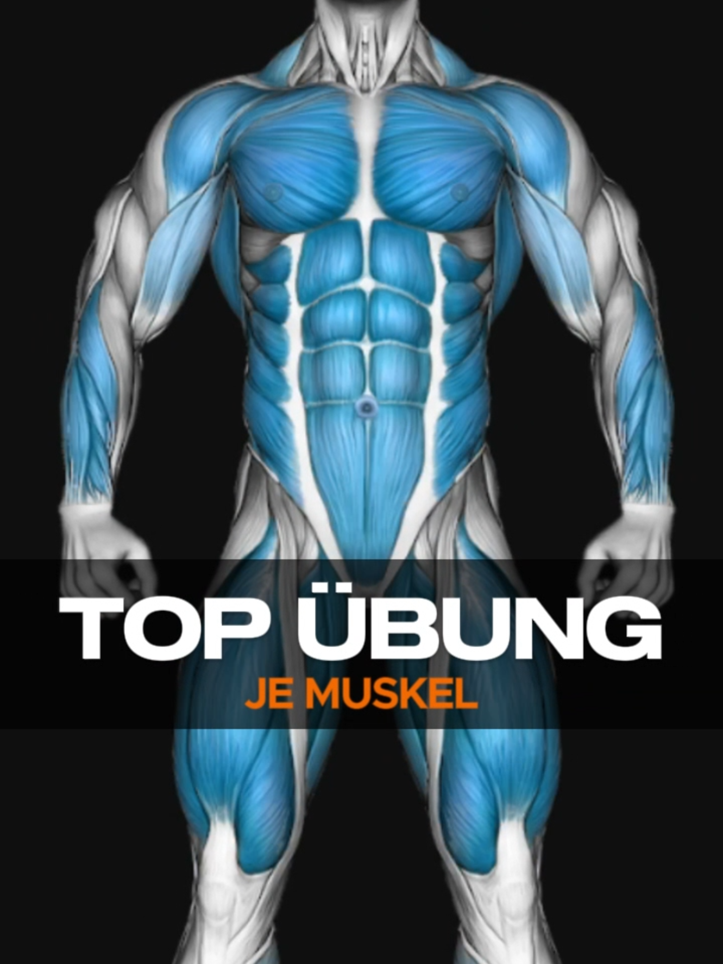 Top Übung je Muskel #muskelaufbautraining #trainingstipps