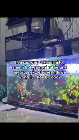 iso edan🗿🗿 #hiiid7 #tinggallkenangan🥀 