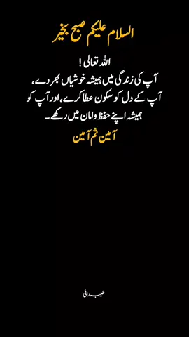 آمین ثم آمین 🤲♥️#tayba_rani24 