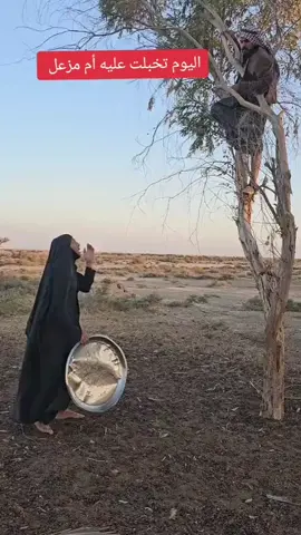 #مزعل #اكسبلور؟ #creatorsearchinsights #tiktok 