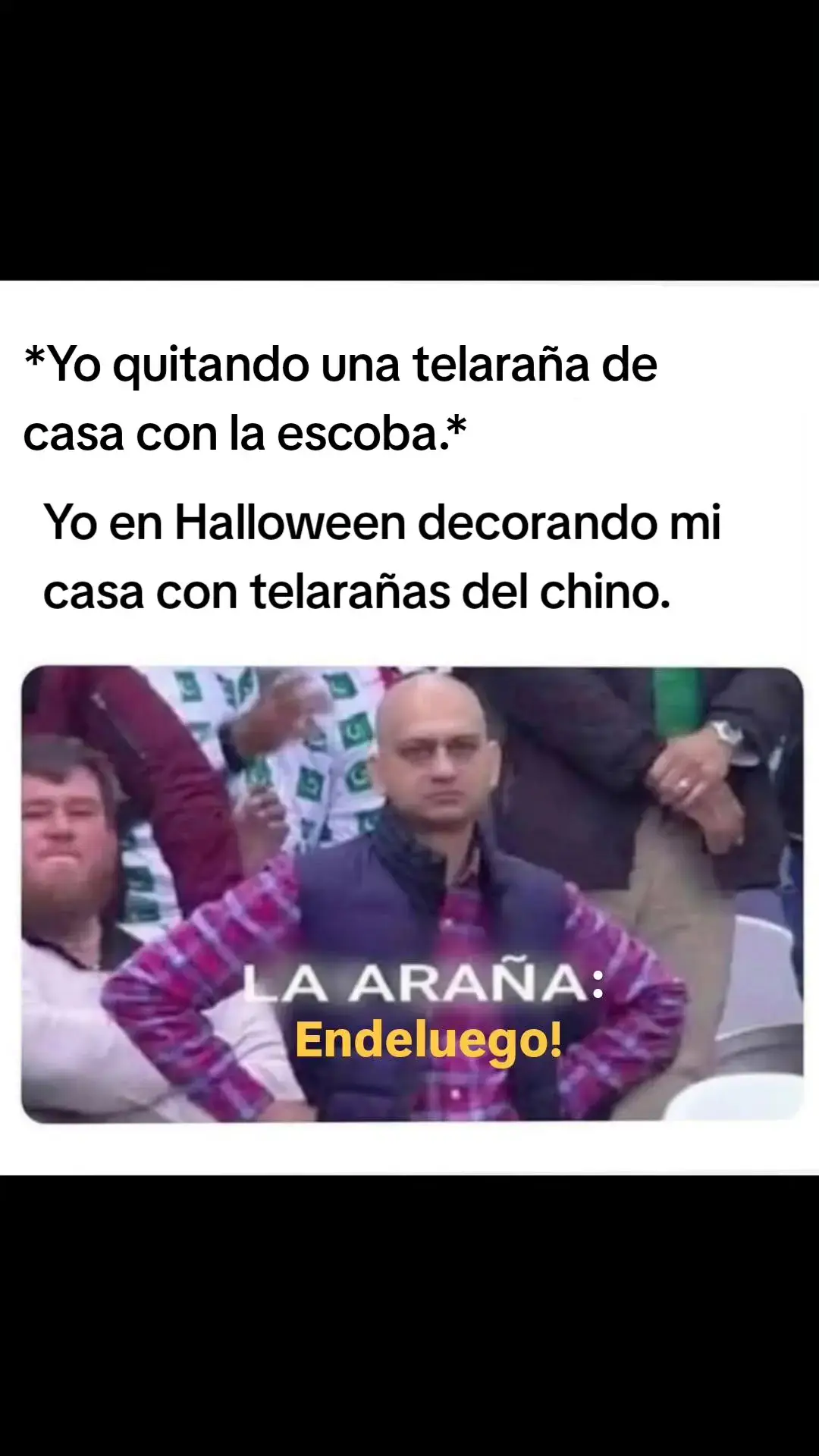 #araña #telaraña #casa #halloween #memes🕷️