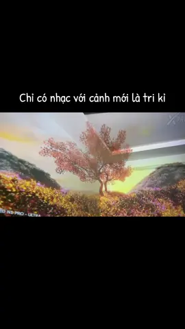 Chỉ có nhạc với cảnh mới là tri kỉ #dicanhkhoanhigh #bayphong #maychieudicanh #dicanh 