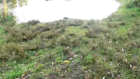 #nature 