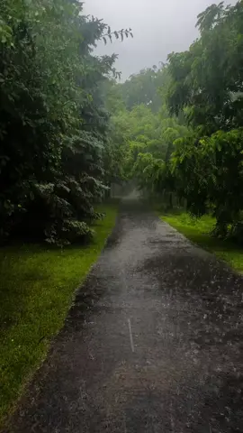 @Beats and Sounds @Nature World #video