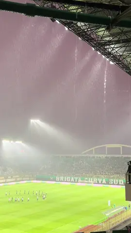 💚🦅 #psssleman #pssday 