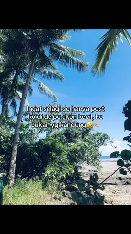 eh tra tau juga eh😆 #sorongpapuabarat #fypシ 