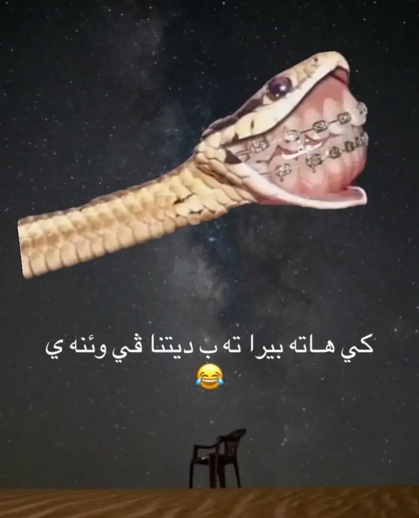 #شعب_الصيني_ماله_حل😂😂 