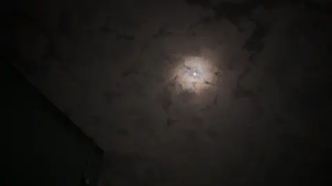 وتصد عن صوتاً تقطع يناديك 👨🏻‍🦯 #قصيد #هواجيس #محمد_بن_فطيس 