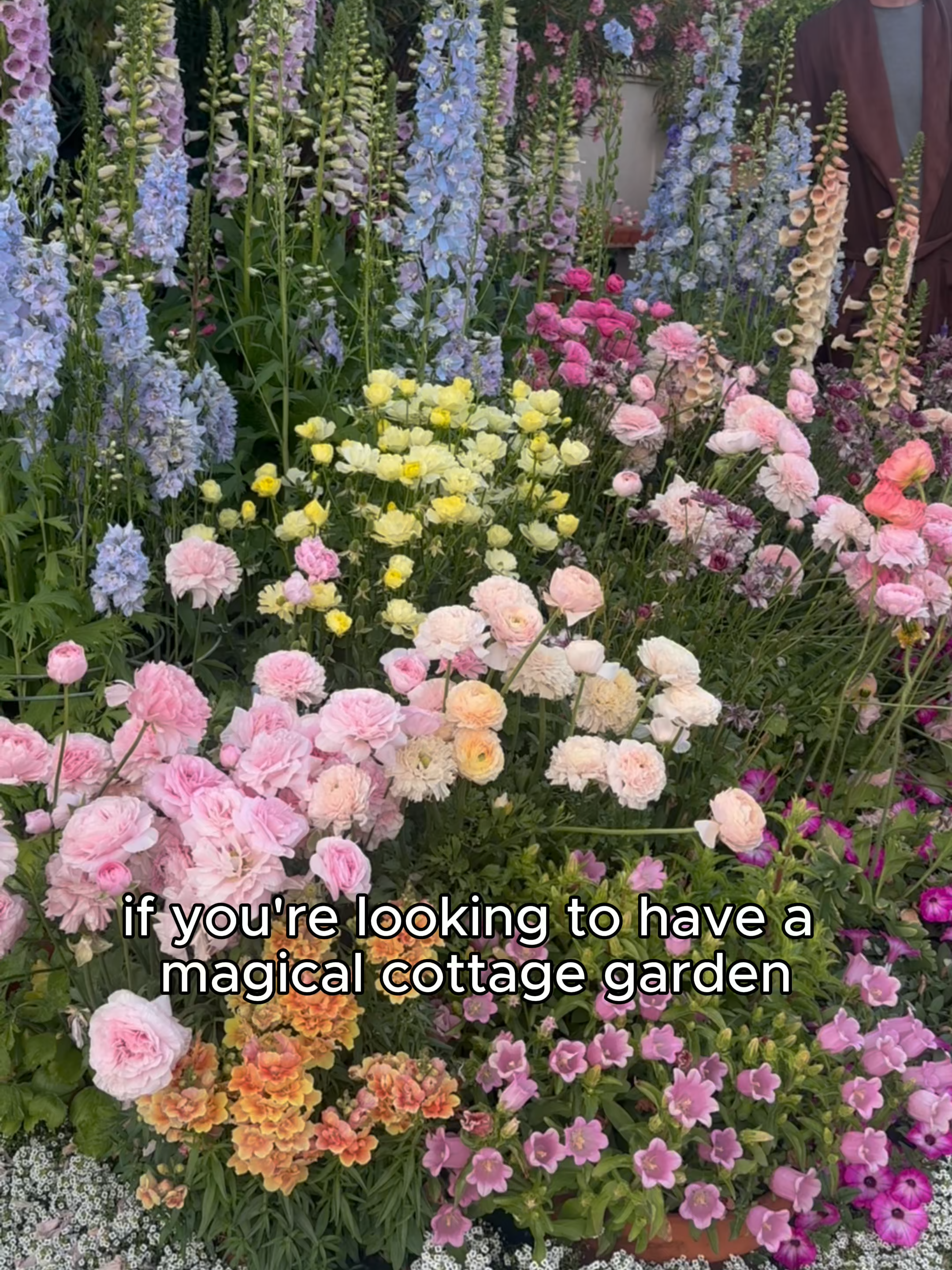 its giving fairy flower realness! All ranunculus and anemone corms are available in our TikTok shop! #gardentok #cutflowergarden