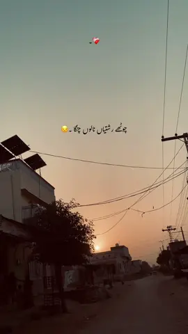 چوٹھے رشتیاں نالوں چنگا  تو کلا رینا سکھ 🙌💯 #fyp #foryoupage #punjabi #poetry #unfrezzmyaccount 
